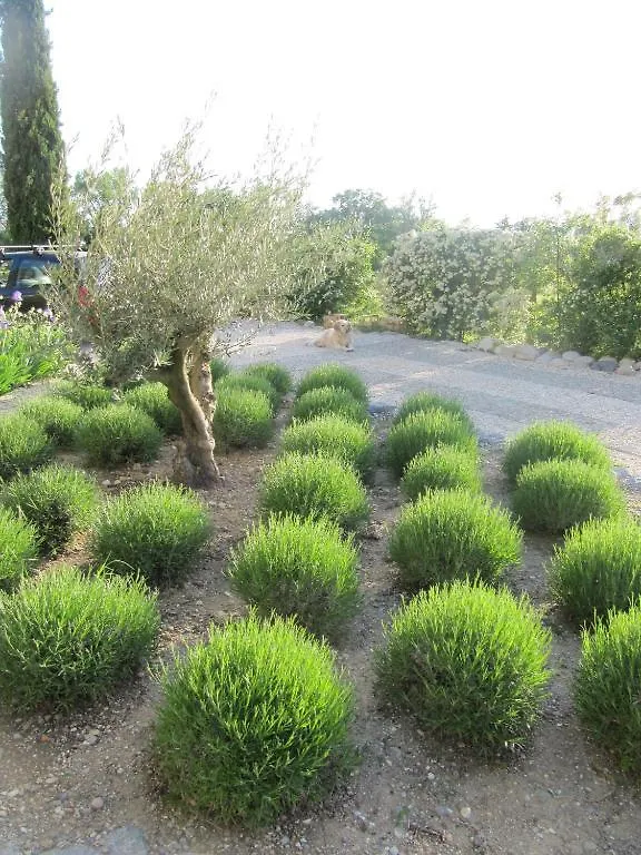 La Flor Azul Bed & Breakfast Grospierres